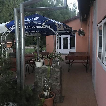 Vila Tanamera Hotel Moneasa Zewnętrze zdjęcie